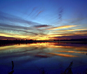 Bayou Dawn Awakening (Print)