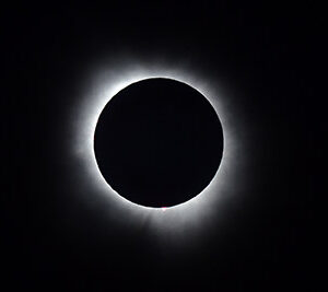 Totality over the Pines (Print)