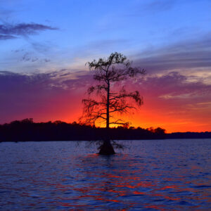 Breaking Light Over Still Water (Digital download)