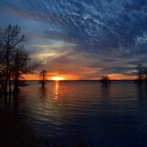 Last Photons, First Stars (Print)