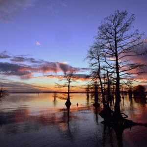 Standing Waves and Cypress Prayers (Print)