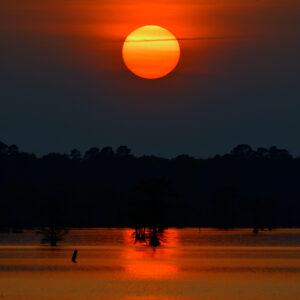 Helios on the Bayou Meridian (Print)