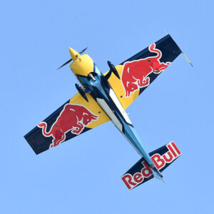 Wings of Fire and Fury (Print)