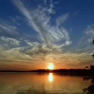 Cirrus Script in Gulf Air (Print)