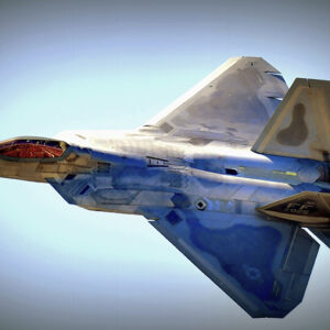 Raptor's Silence (Print)