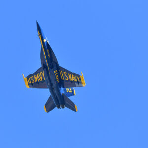 Blue Angel in Ascent (Print)