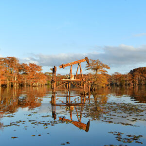 Rust and Reflection (Print)