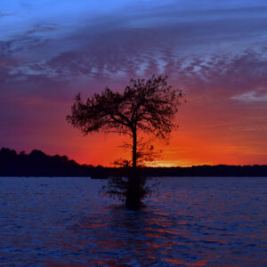 BLACK BAYOU LAKE (CADDO PARISH)