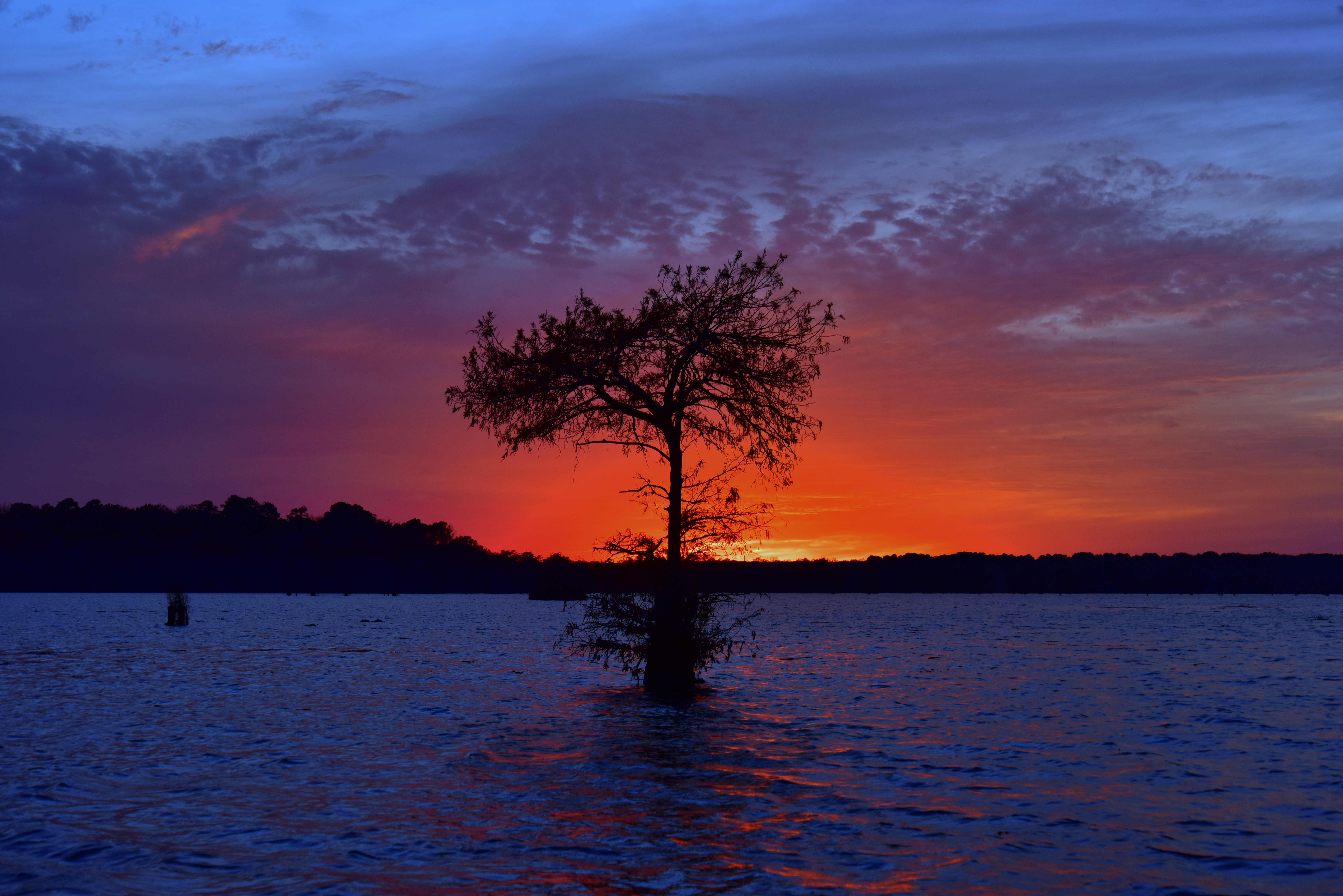 BLACK BAYOU LAKE 21 (CADDO PARISH) (Print)