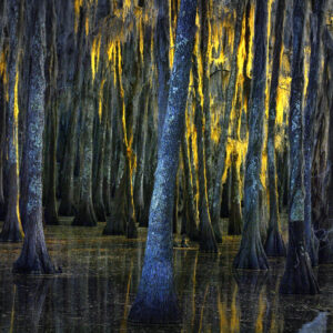 BLACK BAYOU, CADDO PARISH, LOUISIANA