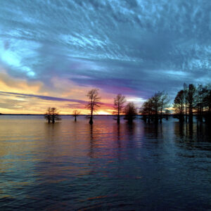 CADDO LAKE 22 (Digital download)