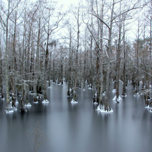 BLACK BAYOU LAKE 15 (CADDO PARISH) (Digital download)