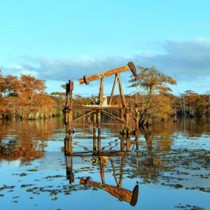 CADDO LAKE 16 (Print)