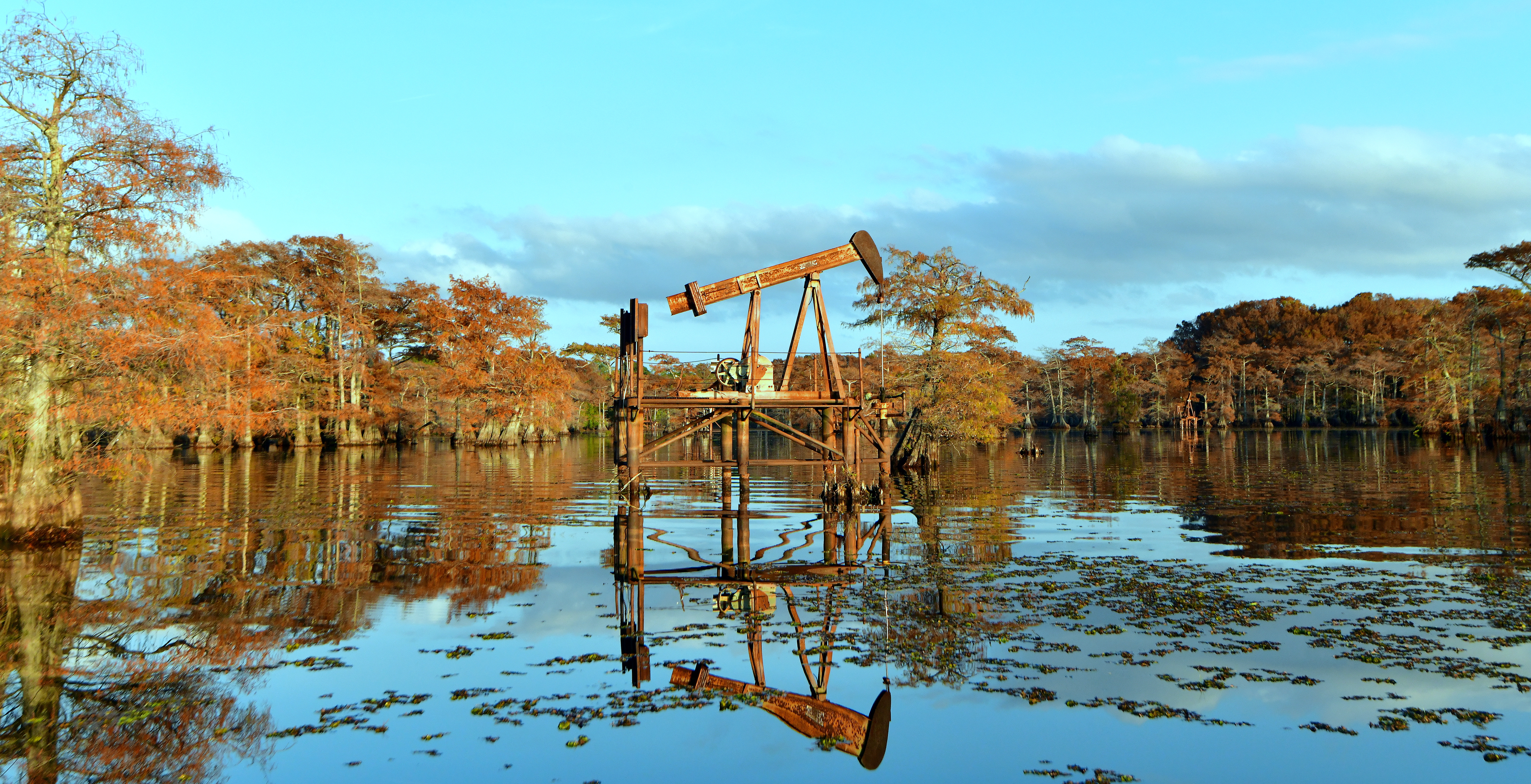 CADDO LAKE 16 (Print)