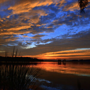BLACK BAYOU LAKE 10 (CADDO PARISH) (Digital download)