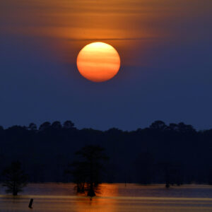 BLACK BAYOU LAKE 13 (CADDO PARISH) (Digital download)