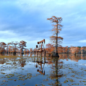 CADDO LAKE