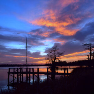 BLACK BAYOU LAKE 4 (CADDO PARISH) (Print)