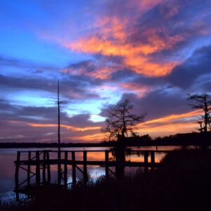 BLACK BAYOU LAKE 4 (CADDO PARISH) (Digital download)