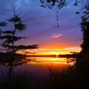 BLACK BAYOU LAKE 33 (CADDO PARISH) (Digital download)