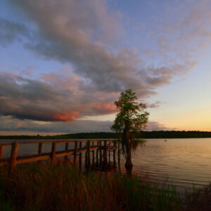 BLACK BAYOU LAKE 17 (CADDO PARISH) (Digital download) (Copy)