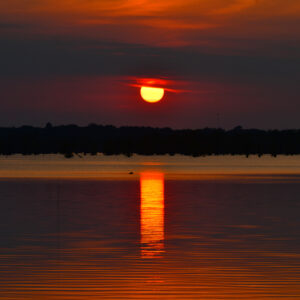 BLACK BAYOU LAKE 23 (CADDO PARISH) (Digital download)