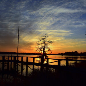 BLACK BAYOU LAKE 18 (CADDO PARISH) (Digital download)