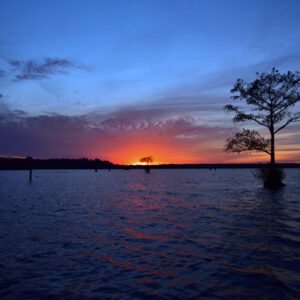 BLACK BAYOU LAKE 20 (CADDO PARISH) (Digital download)