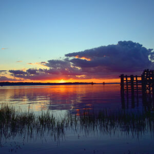 CADDO LAKE 28 (Print)