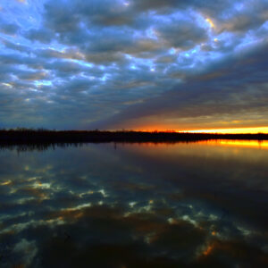 RED RIVER NATIONAL WILDLIFE REFUGE 9 (Print)