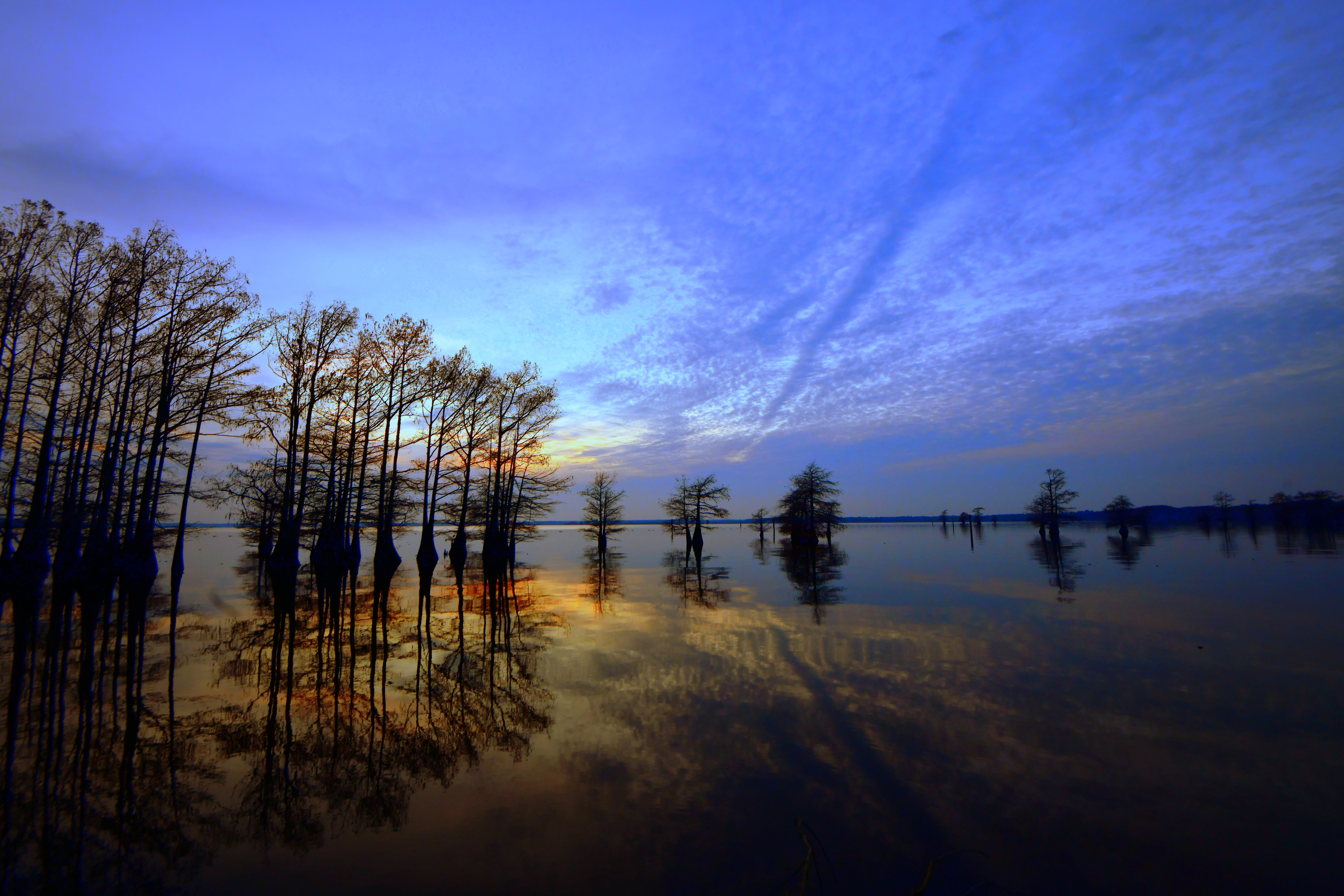 CADDO LAKE 9 (Print)