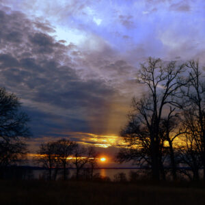 CADDO LAKE 26 (Digital download)