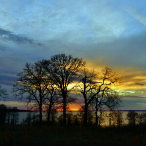 CADDO LAKE 28 (Digital download)