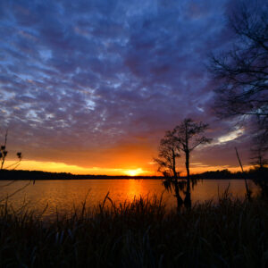 BLACK BAYOU LAKE 32 (CADDO PARISH) (Digital download)