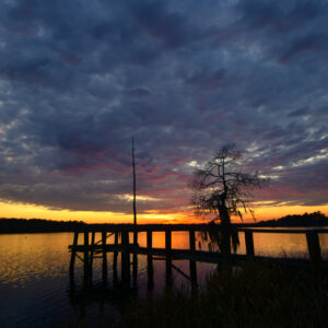 BLACK BAYOU LAKE 34 (CADDO PARISH) (Digital download)