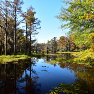 BLACK BAYOU LAKE 28 (CADDO PARISH) (Digital download)