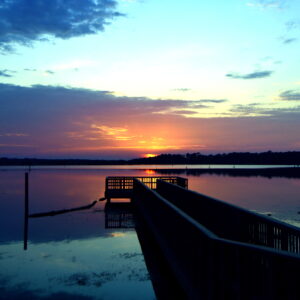 BLACK BAYOU LAKE 1 (CADDO PARISH) (Digital download)