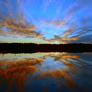 BLACK BAYOU LAKE 2 (CADDO PARISH) (Digital download) )