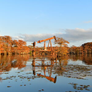 CADDO LAKE 16 (Digital download)