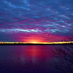 RED RIVER NATIONAL WILDLIFE REFUGE 20 (Digital download)
