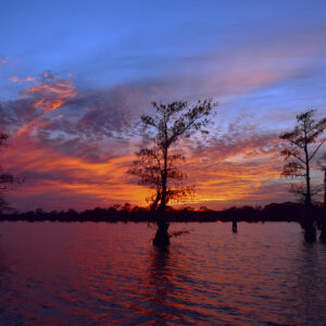 BLACK BAYOU LAKE 24 (CADDO PARISH) (Print)