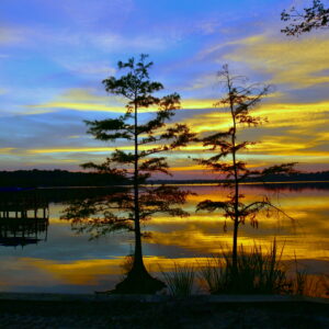 BLACK BAYOU LAKE 3 (CADDO PARISH) (Print)