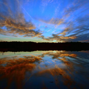 BLACK BAYOU LAKE 2 (CADDO PARISH) (Print)